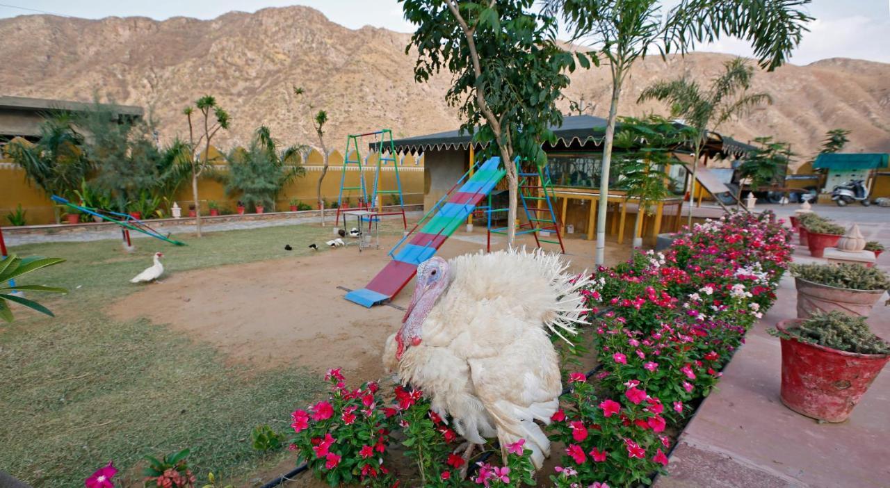 Serene Aravali Resort, 푸쉬카르 외부 사진